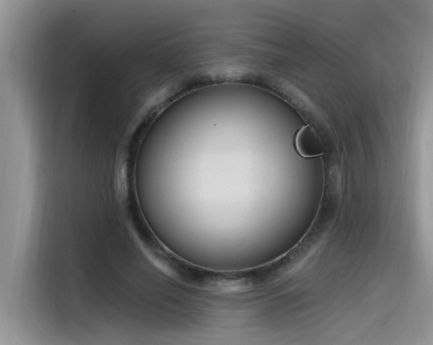 X0000115630638200911171336