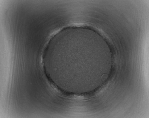 X0000115630640200911171336