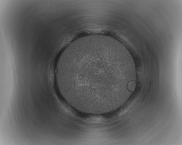 X0000115630642200911171337