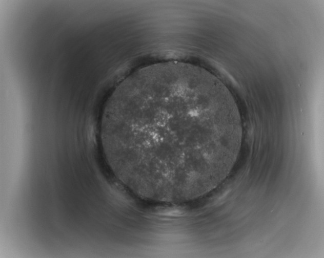 X0000115630643200911171337