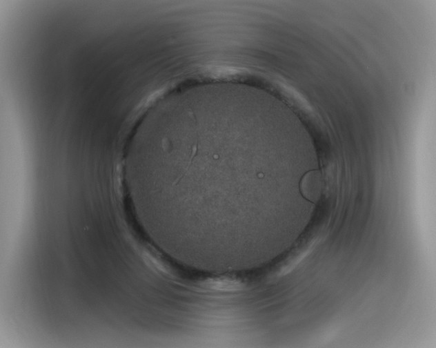 X0000115630644200911171337