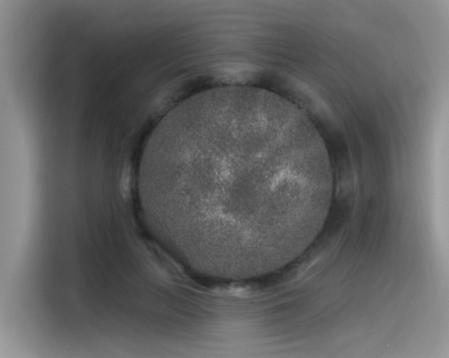 X0000115630647200911171337