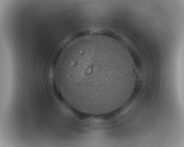 X0000115630648200911171337