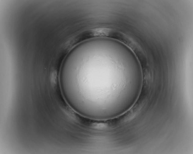 X0000115630649200911171337