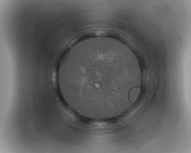 X0000115630650200911171337