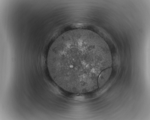 X0000115630653200911171337