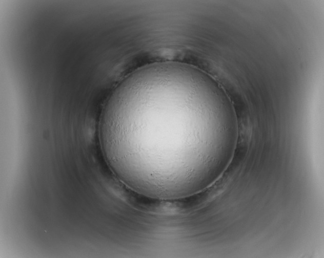 X0000115630656200911171337