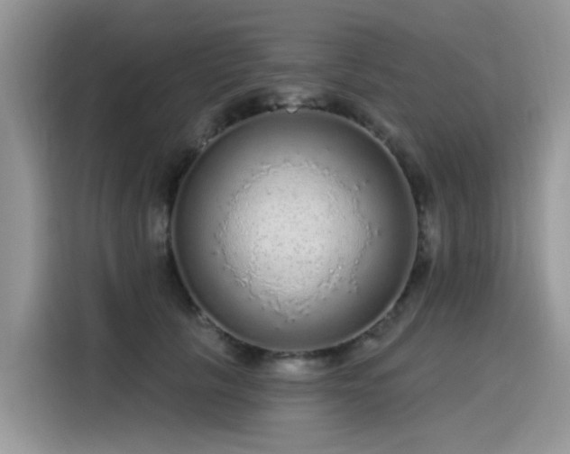 X0000115630657200911171337