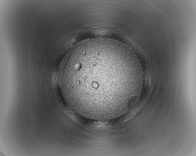 X0000115630660200911171337