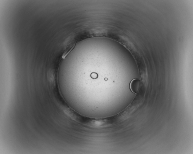 X0000115630662200911171337