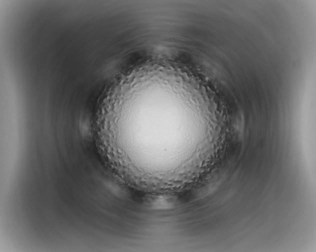 X0000115630663200911171337