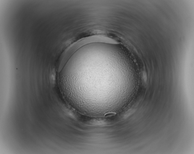 X0000115630668200911171337