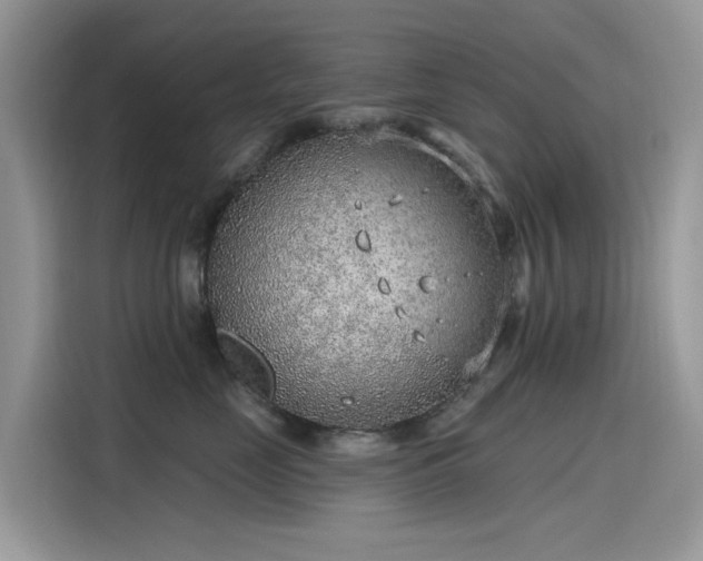 X0000115630669200911171337