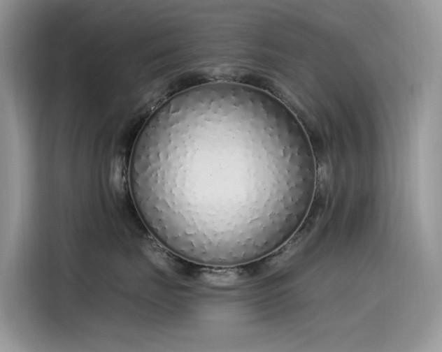 X0000115630671200911171337