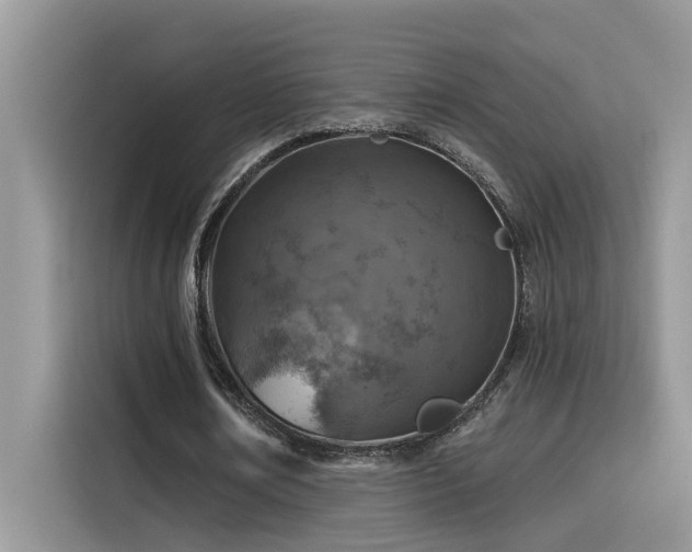 X0000115630674200911171336