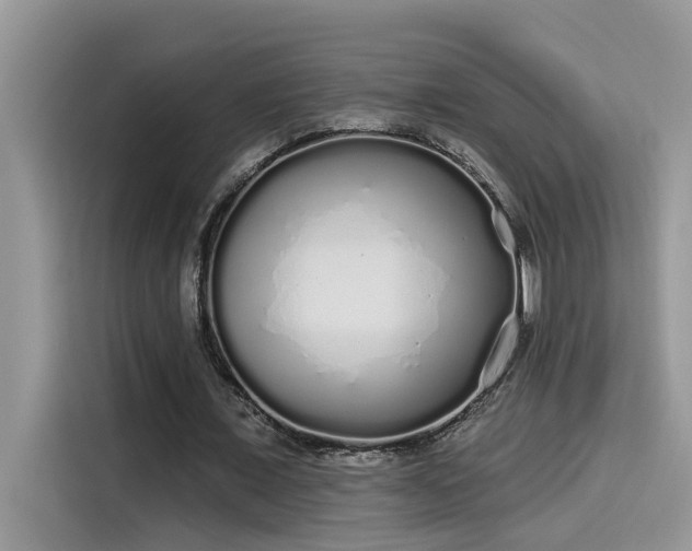 X0000115630675200911171336