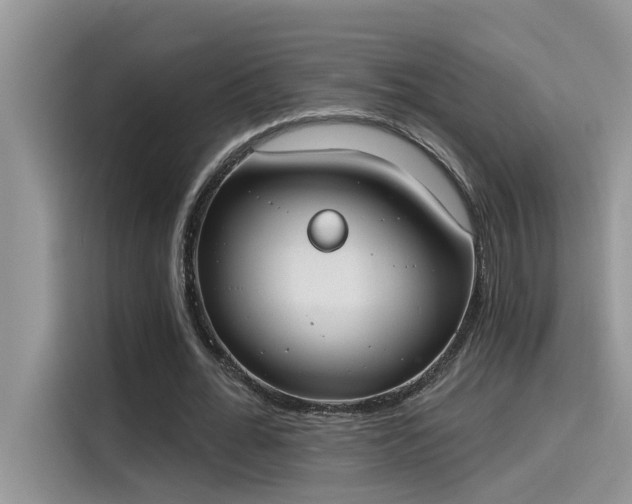 X0000115630676200911171336