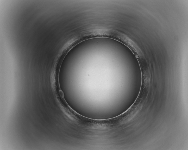 X0000115630677200911171336