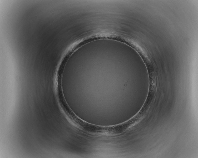 X0000115630678200911171336