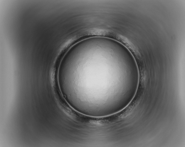 X0000115630679200911171336