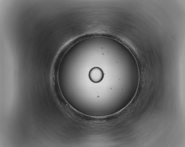 X0000115630680200911171336