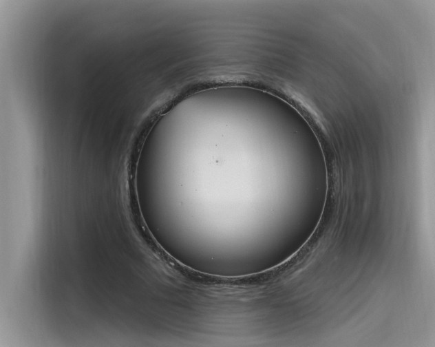 X0000115630681200911171336