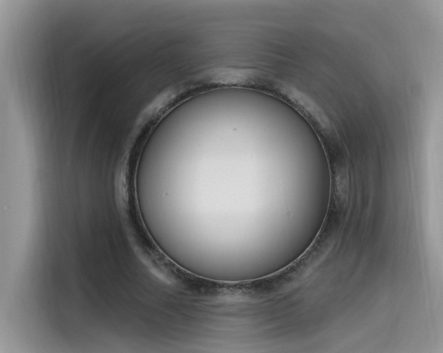 X0000115630682200911171336