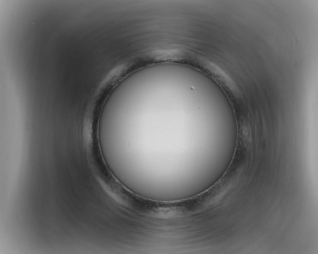 X0000115630686200911171336