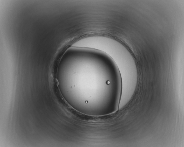 X0000115630688200911171336