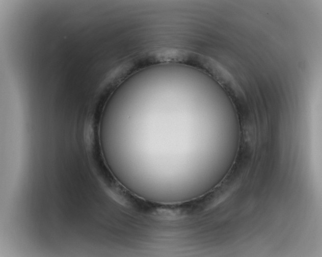 X0000115630690200911171336