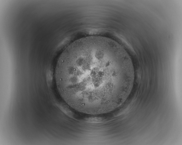 X0000115630691200911171336