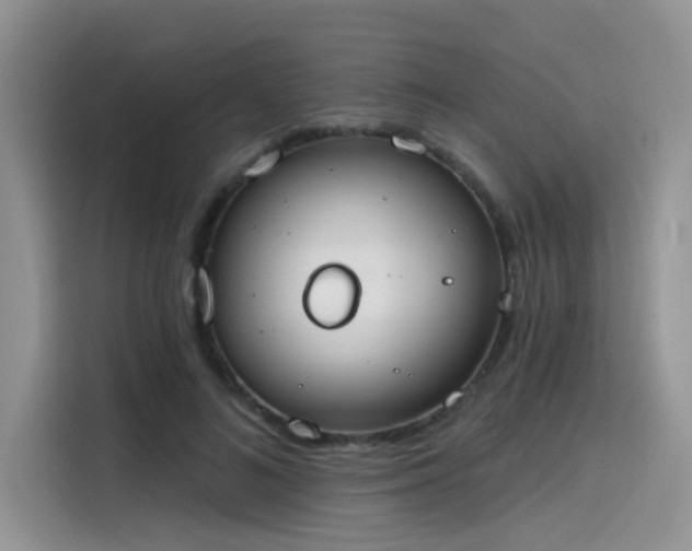 X0000115630692200911171336