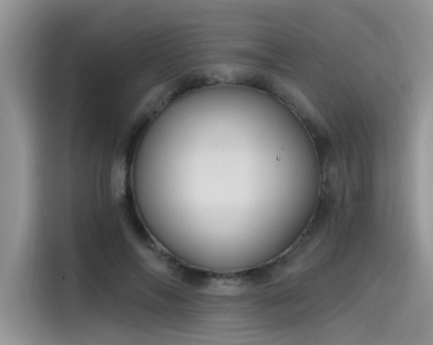 X0000115630694200911171336