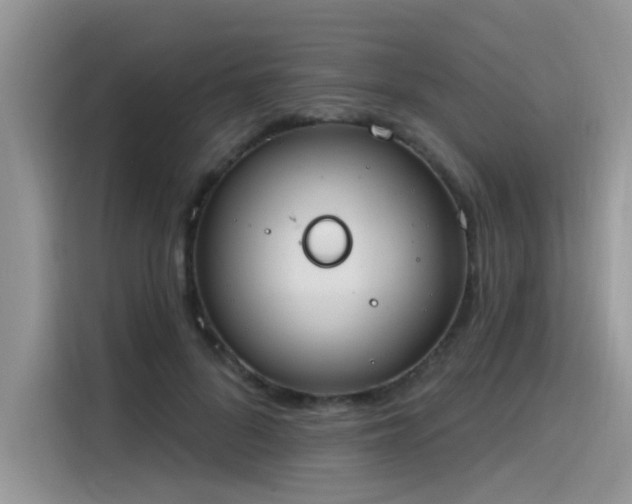 X0000115630696200911171336