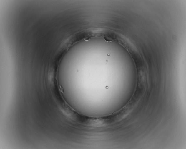 X0000115630698200911171336