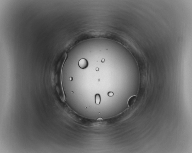 X0000115630700200911171336