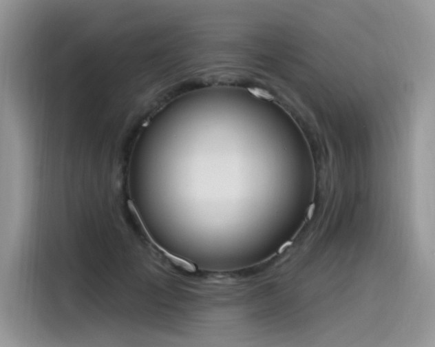 X0000115630701200911171336