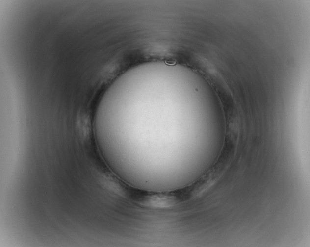 X0000115630708200911171336