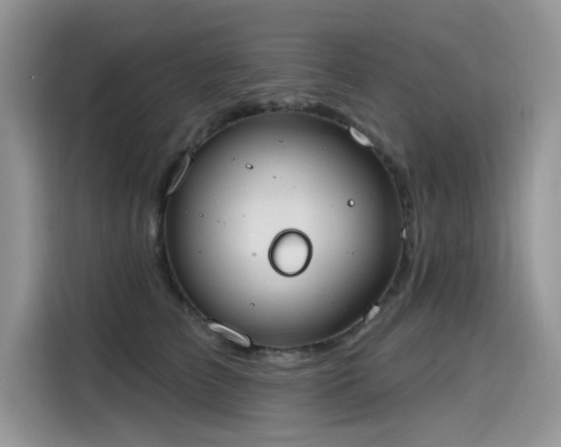 X0000115630709200911171336