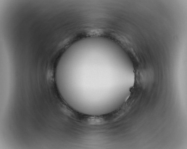 X0000115630714200911171336