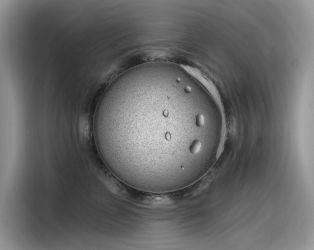 X0000115630715200911171336