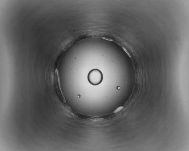 X0000115630716200911171336