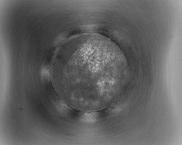 X0000115630720200911171336