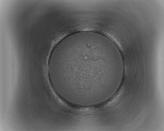 X0000115630721200911171335