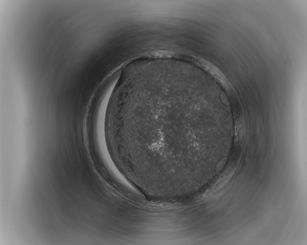 X0000115630722200911171335