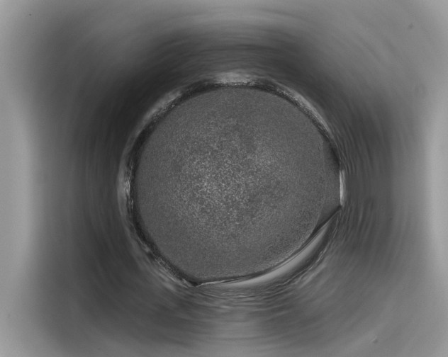 X0000115630723200911171335