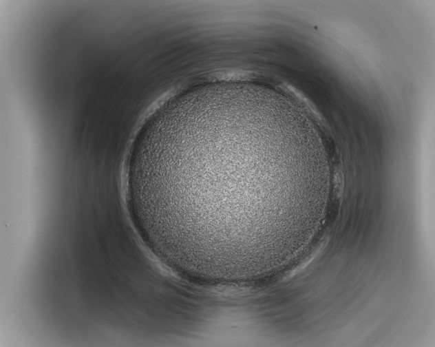 X0000115630725200911171335