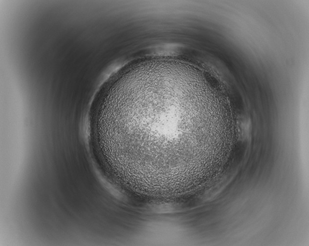 X0000115630726200911171335