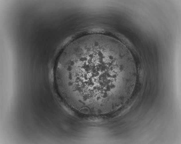 X0000115630729200911171335