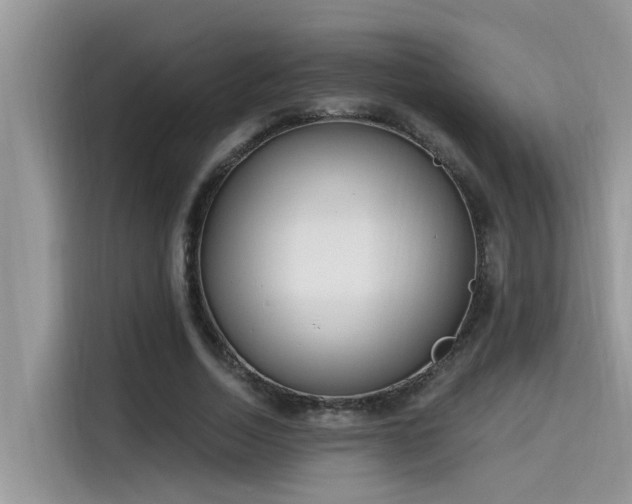 X0000115630730200911171335